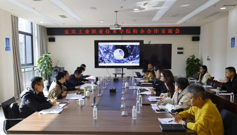 深入新区洽谈谋发展，政园企校合作新实践 ——校党委副书记、校长黄晓燕带队赴宜宾高新区调研