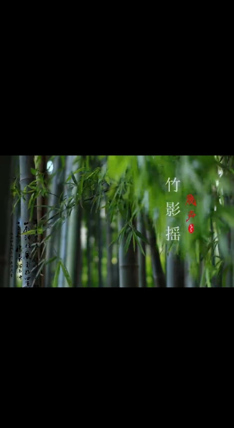 创意赋能乡村振兴  —我校师生在2025年四川省大学生农业创意设计大赛中喜获佳绩